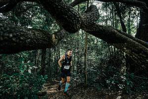 BIB: 
                            <button type="button" onclick="openModal(25663562)" class="btn btn-primary btn-sm float-right btn-popup" data-toggle="modal" data-target=".modal-high-quality">
                        <i class="fas fa-shopping-cart"></i> Add to Cart
                    </button>
                                            <button type="button" onclick="isThisMe(25663562, true)" class="btn btn-success btn-sm float-right btn-popup btn-isme hidden" data-toggle="tooltip" data-placement="bottom" title="นี่คือรูปของคุณใช่ไหม คลิกที่นี่เพื่อเอาเข้าอัลบั้ม">
                        <i class="fas fa-plus"></i> Add to album
                    </button>
                    <button type="button" onclick="isThisMe(25663562, false)" class="btn btn-warning btn-sm float-right btn-popup btn-isnotme hidden">
                        <i class="fas fa-ban"></i> Remove from album
                    </button>